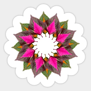 Wreath of leaves Sticker